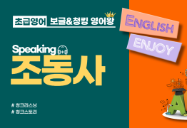 [초급]조동사(영상 확인 중)